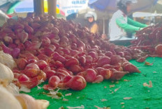 Cabai Tembus Rp80 Ribu, Harga Bahan Pokok di Metro Melambung Jelang Nataru