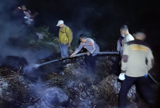Kebakaran 21 Hektar Lahan Tebu dan Hutan Konservasi di Mesuji Berhasil Dipadamkan