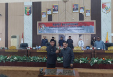 4 Raperda Tubaba Disetujui, Wabup Nadirsyah Sampaikan Apresiasi ke DPRD