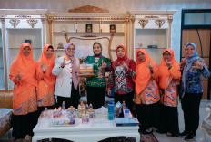 Sinergi BIPEKA PKS Lampung dan TP PKK Lampung Perkuat Peran Perempuan dan Ketahanan Keluarga