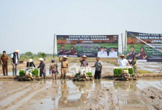 Sinergi Pemkot Metro dan Kejati Lampung Wujudkan Asta Cita Lewat Tanam Padi di Sumbersari