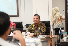  Audiensi dengan KKP, Bupati Pringsewu Dorong Hilirisasi Produk Perikanan