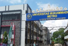 UM Metro Tembus Peringkat Kedua SINTA, Tingkatkan Publikasi Ilmiah dan Kolaborasi Penelitian