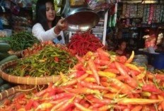 Jelang Idul Adha, Harga Cabai dan Bawang di Kota Metro Terpantau Turun
