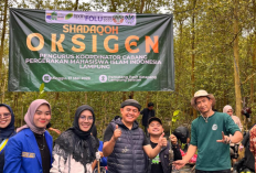  PKC PMII Lampung Tanam 5.000 Bibit Mangrove di Pesisir Pematang Pasir Lampung Selatan