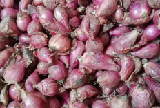 Bawang Merah Naik Jadi Rp37.000, Pedagang di Pasar Sekampung Keluhkan Sepi Pembeli