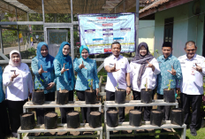 Kunker Ketua TP PKK Lampung di Pringsewu, Dorong Pemberdayaan dan Sinergi Lintas Sektor