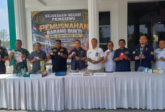 72 Perkara Inkracht, Kejari Pringsewu Musnahkan Sabu, Ganja hingga Senjata Api