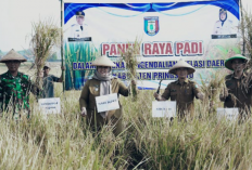 Wabup Umi Laila Dorong Petani Pringsewu Tingkatkan Produksi dan Ketahanan Pangan