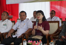 Wamen Dikti Ristek Tinjau Langsung Calon Lokasi Sekolah Garuda di Pringsewu
