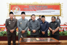 Raperda Pertanggungjawaban APBD 2024 Dibahas, Bupati Tubaba Ajak DPRD Perkuat Sinergi