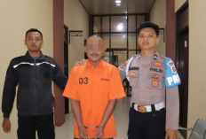Curi Ponsel Teman Saat Mabuk, Pemuda Pringsewu Akhirnya Ditangkap