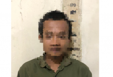 Curi dan Rusak Kebun Cabai di Mesuji, Warga Fajar Asri Ditangkap Polisi