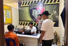 Penusukan di Gudang Biliar Pringsewu Terungkap, Pelaku Serahkan Diri ke Polisi