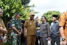 Plt Bupati Lampung Tengah Tinjau Jembatan Roboh di Way Pengubuan, Pastikan Penanganan Cepat