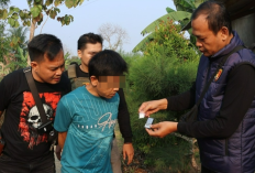 Penggerebekan Narkoba di Margakaya Pringsewu, 2 Pria Diamankan 