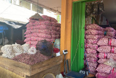 Harga Bawang Merah di Pasar Nuban Metro Stabil, Penjualan Masih Lesu