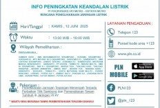 PLN Umumkan Pemadaman Listrik di Lampung Timur, Catat Tanggal dan Jamnya!