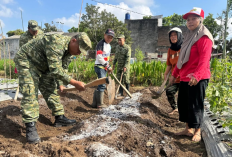 Dukung Ketahanan Pangan, Koramil 11/Depok Salurkan 300 Bibit Cabai ke Kelompok Wanita Tani Sleman