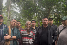 Kejaksaan Ringkus DPO Tipikor Muhamad Azhari di Hutan Lindung