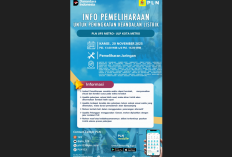 PLN ULP Metro Umumkan Pemadaman Listrik Bergilir di Wilayah Sekampung, Cek Jadwal dan Lokasi Lainnya!