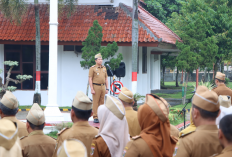 Pimpin Apel Mingguan, Sekda Lampung Tengah Ajak ASN Bangun Kerja Tim yang Kuat