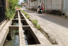 Banjir Metro Terkuak, Drainase Bermasalah dan Alih Fungsi Lahan Jadi Pemicu Utama