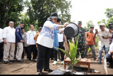  Dorong Kesejahteraan Petani, Titiek Soeharto Tanam Kelapa Genjah di Sleman