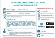 PLN Lakukan Pemadaman Listrik di Metro Kibang dan Sekitarnya, Cek Jadwalnya!