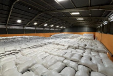 BULOG DIY Pastikan Stok Pangan Aman, Masyarakat Diminta Tetap Tenang