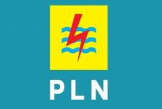 PLN Ajak Generasi Muda Berkarir, Buka Lowongan Kerja untuk Lulusan D3 hingga S2