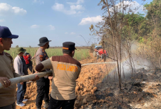 Kebakaran Lahan Tebu Seluas 30 Hektare Melanda Mesuji, Kapolres Turun Langsung Pimpin Pemadaman