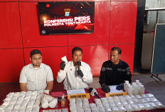 Polresta Yogyakarta Amankan 81 Ribu Butir Obat Keras Berlogo Y, Dua Tersangka Ditangkap