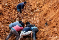 Empat Pekerja Tewas di Tambang PT KDI Konawe Utara, HAMI Sultra Desak Evaluasi Total