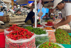Harga Cabai di Kota Metro Lampung Turun Usai Lebaran