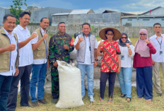 BULOG Yogyakarta Tuntaskan 100 Persen Target Penyerapan Gabah 2026