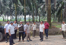 Monev FPKMS di Mesuji, BPN Pastikan Realisasi Kebun Masyarakat Sesuai Ketentuan