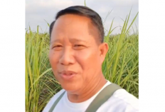 Rekening Dibuka, Petani Tebu Way Kanan Akhirnya Bisa Panen Lagi