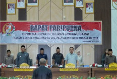 Sampaikan KUA-PPAS 2027, Wabup Tubaba Harap Kemenkeu Setujui Usulan untuk Masyarakat