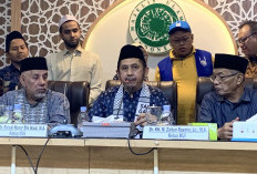 MUI Minta Pemerintah Segera Selamatkan 9 WNI yang Ditangkap Israel